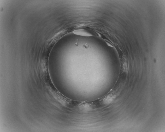 X0000076270620200609281207