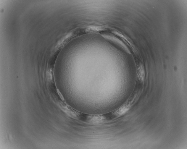 X0000076270621200609281207