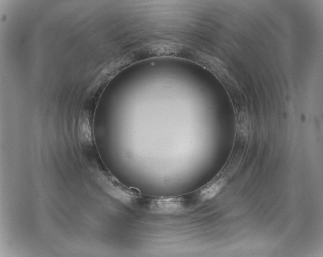 X0000076270622200609281207