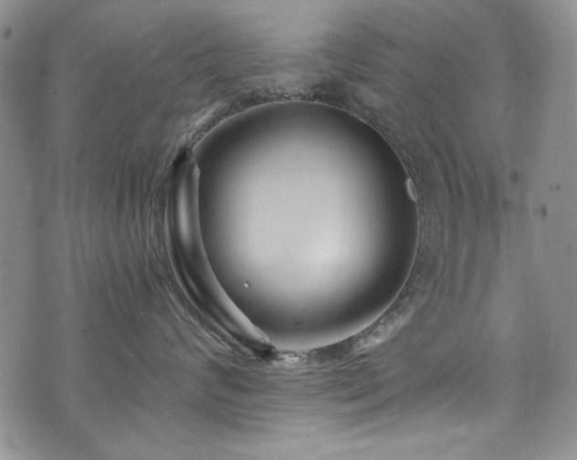 X0000076270624200609281207