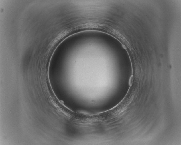 X0000076270625200609281206