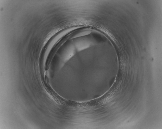 X0000076270626200609281206