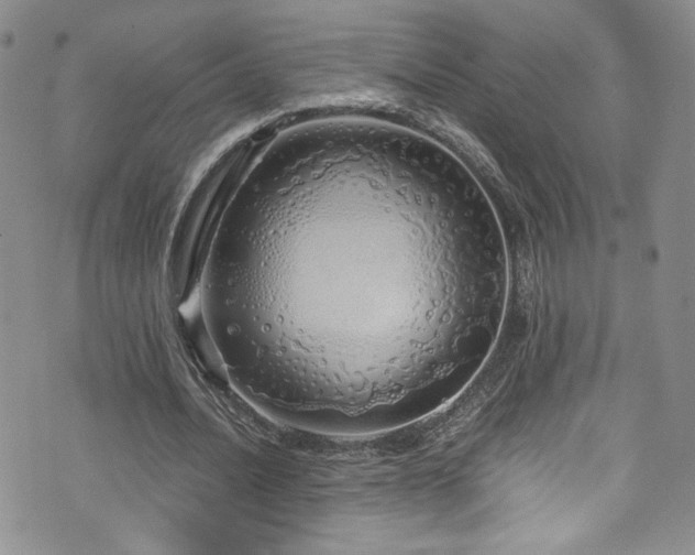 X0000076270628200609281206