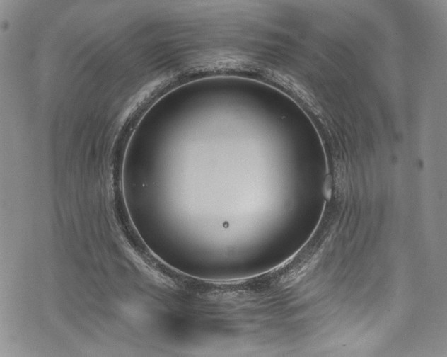 X0000076270629200609281206