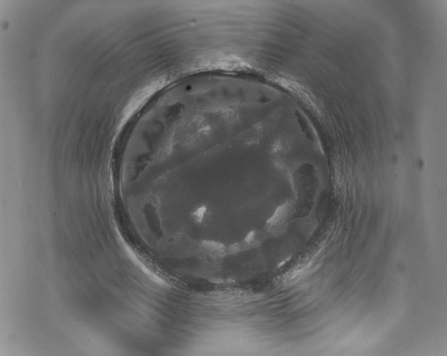 X0000076270630200609281206