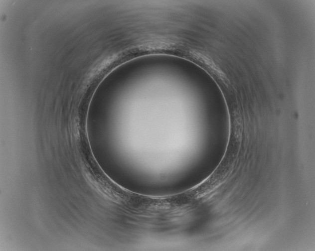 X0000076270631200609281206