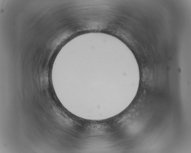 X0000076270632200609281206