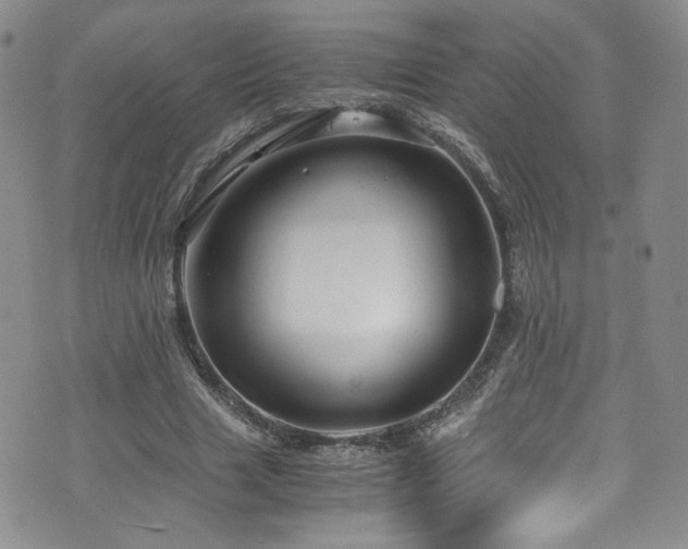 X0000076270633200609281206