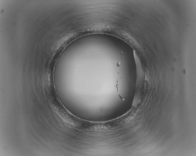 X0000076270636200609281206