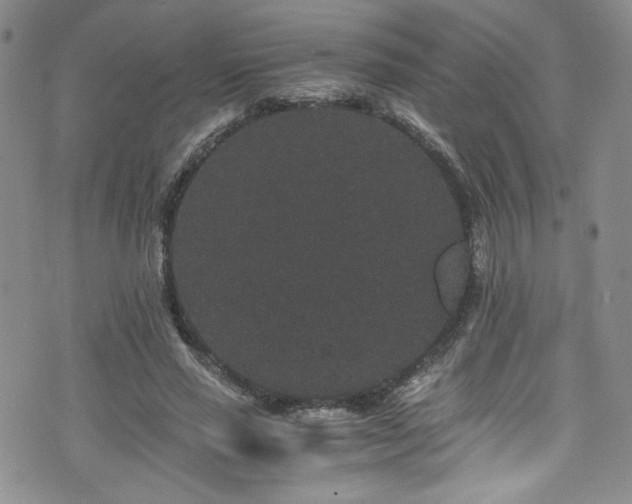 X0000076270637200609281206