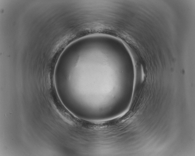 X0000076270638200609281206