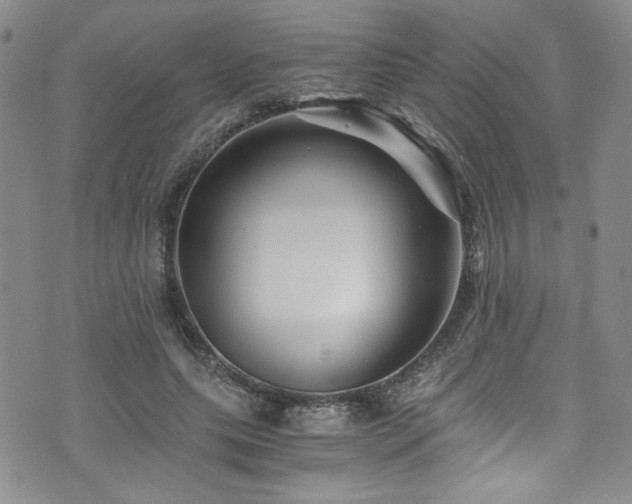 X0000076270639200609281206