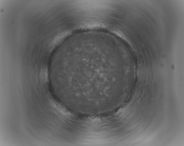 X0000076270640200609281206