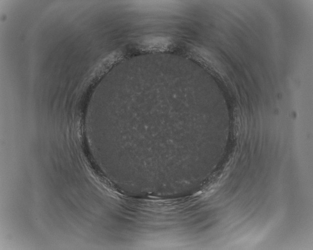 X0000076270641200609281206