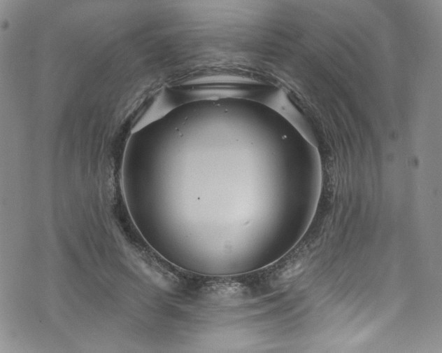 X0000076270642200609281206