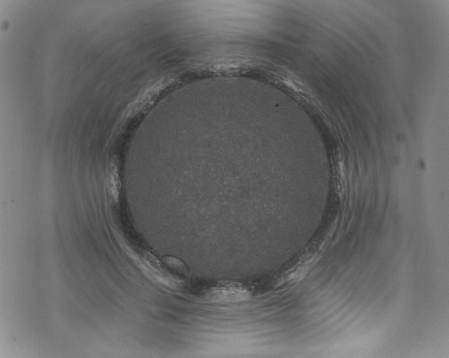 X0000076270644200609281206