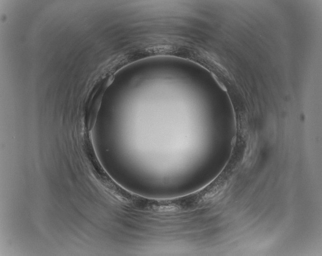 X0000076270645200609281206