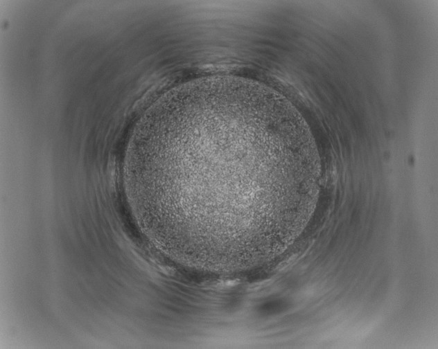 X0000076270647200609281206