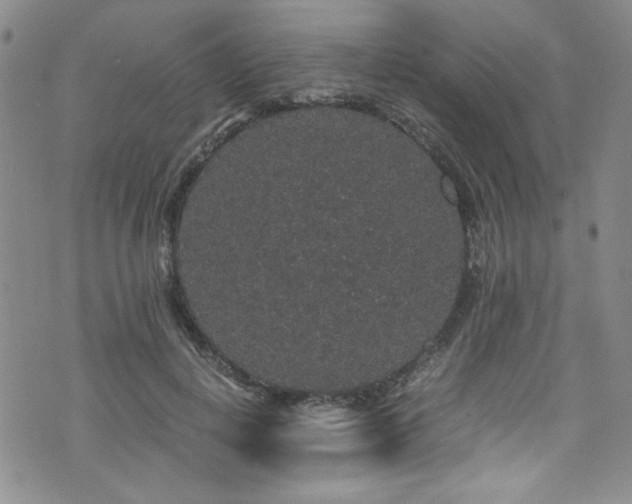 X0000076270648200609281206