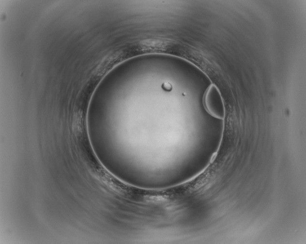 X0000076270649200609281206