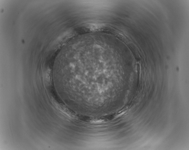 X0000076270650200609281206