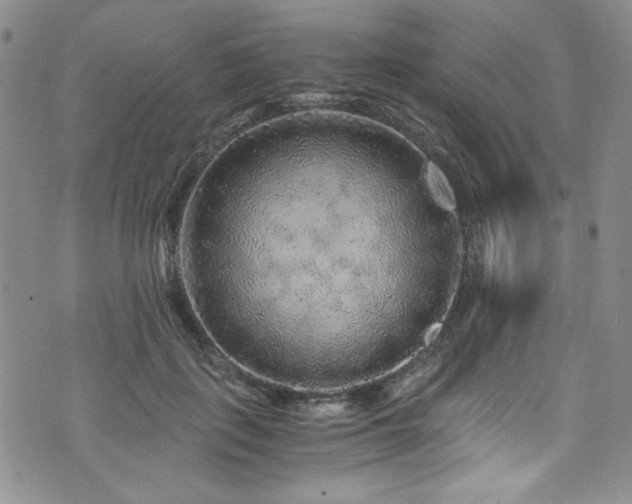 X0000076270651200609281206