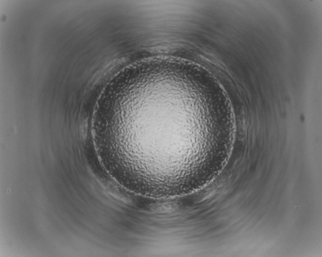 X0000076270652200609281206