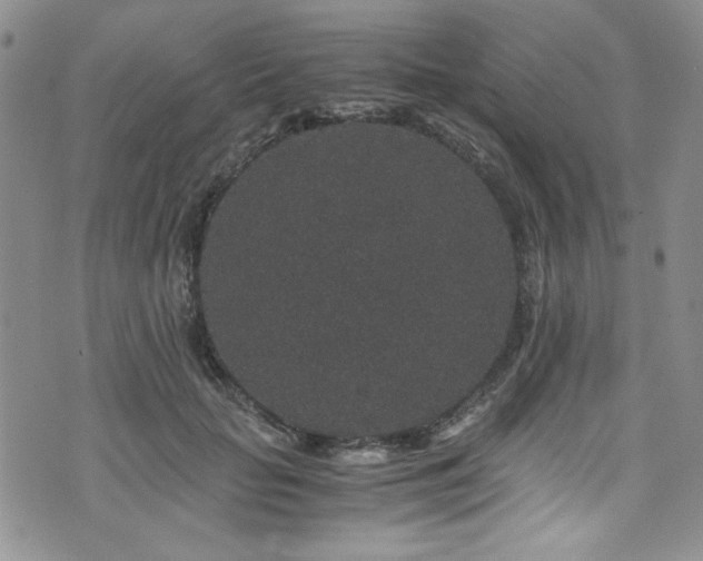 X0000076270653200609281207