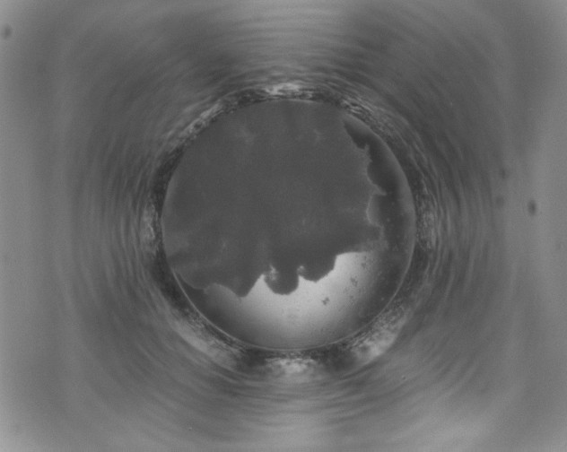 X0000076270654200609281207