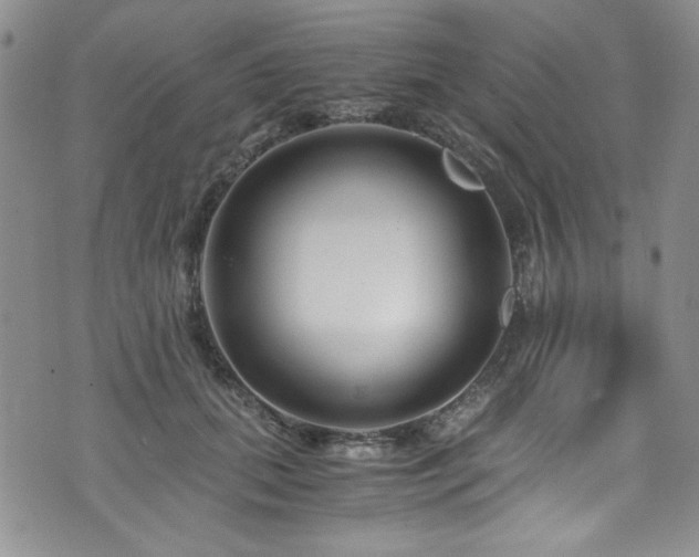 X0000076270655200609281207