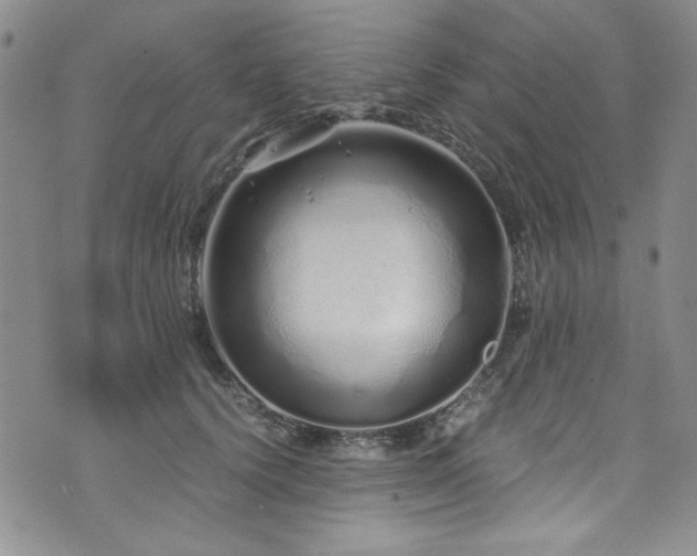 X0000076270656200609281207