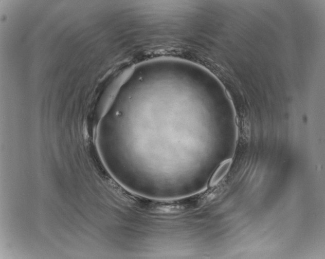 X0000076270657200609281207