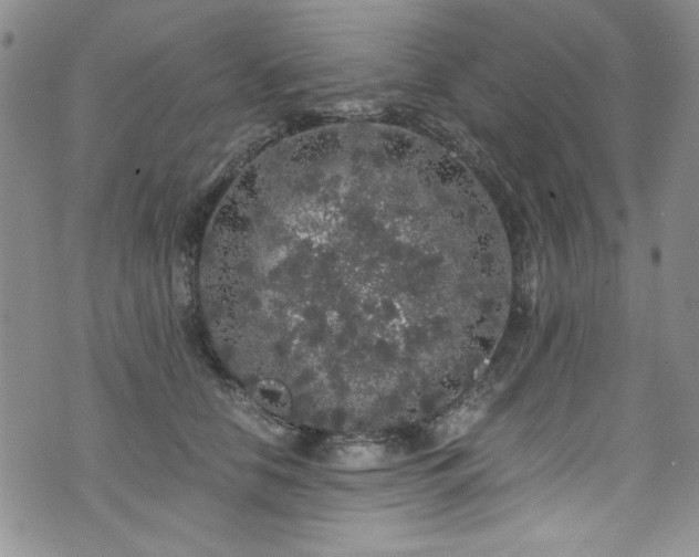 X0000076270658200609281207