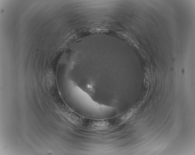 X0000076270659200609281207