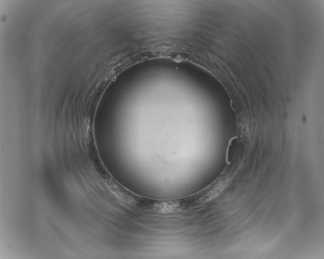 X0000076270660200609281207