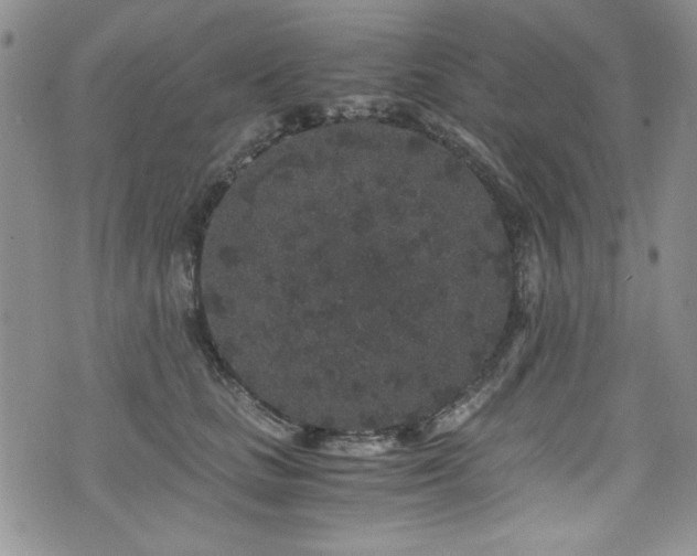 X0000076270661200609281207