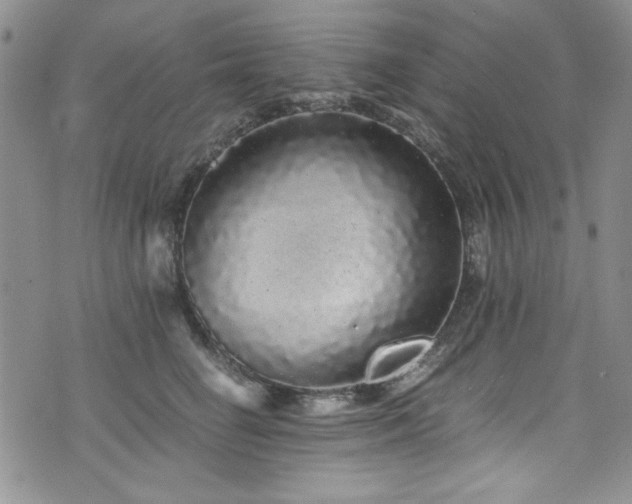 X0000076270662200609281207