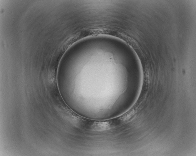 X0000076270665200609281207