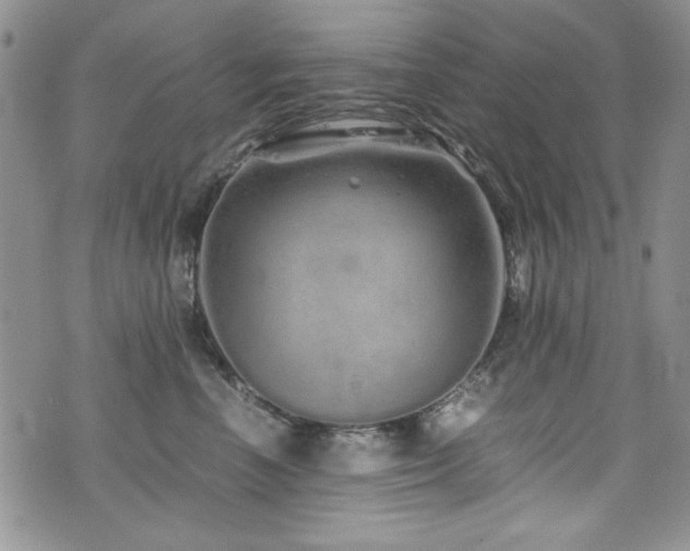 X0000076270666200609281207