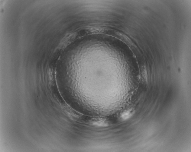 X0000076270667200609281207