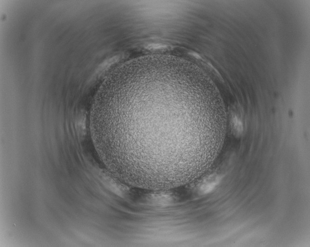 X0000076270668200609281207