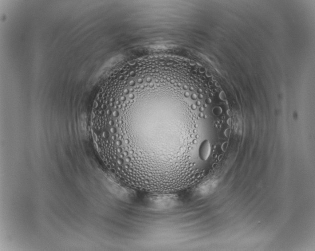 X0000076270670200609281207