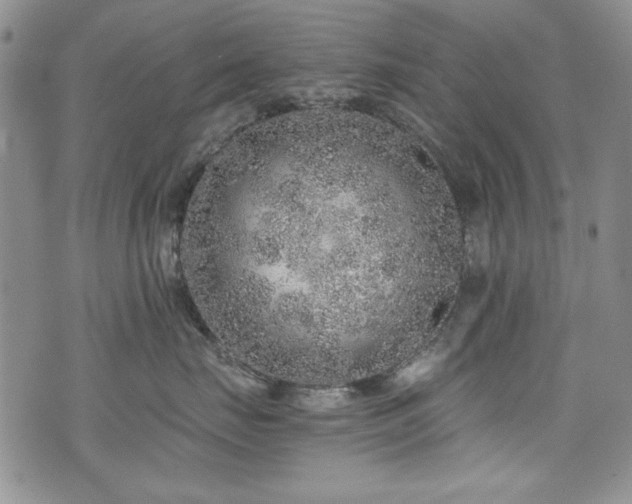 X0000076270671200609281207