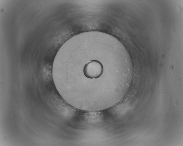 X0000076270672200609281207