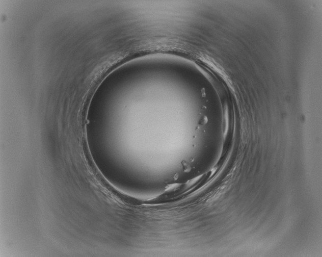 X0000076270673200609281206