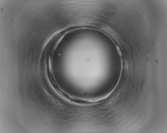 X0000076270676200609281206