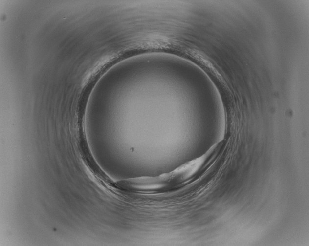 X0000076270677200609281206