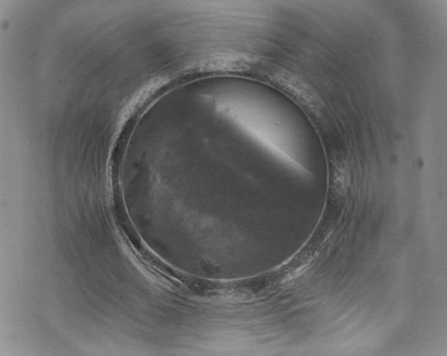 X0000076270678200609281206