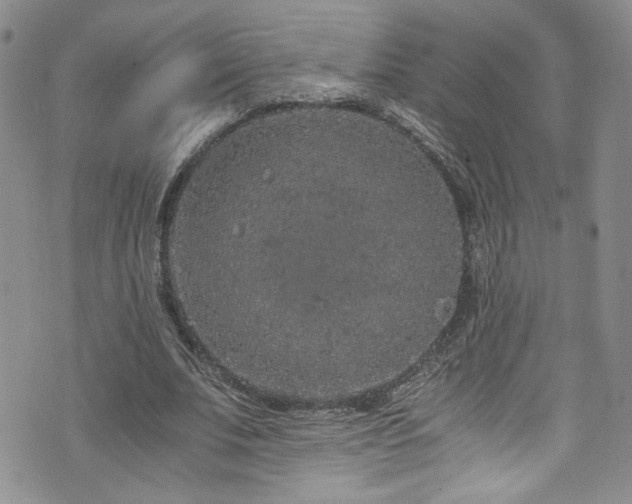 X0000076270679200609281206