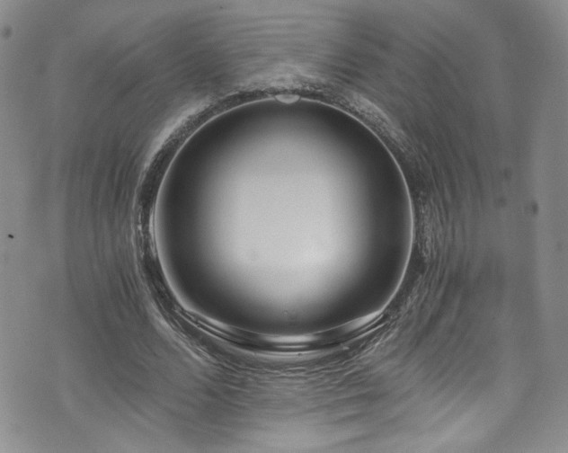 X0000076270680200609281206